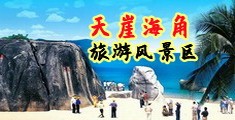 大鸡巴日骚屄视频海南三亚-天崖海角旅游风景区