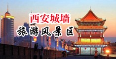 淫穴抠B中国陕西-西安城墙旅游风景区